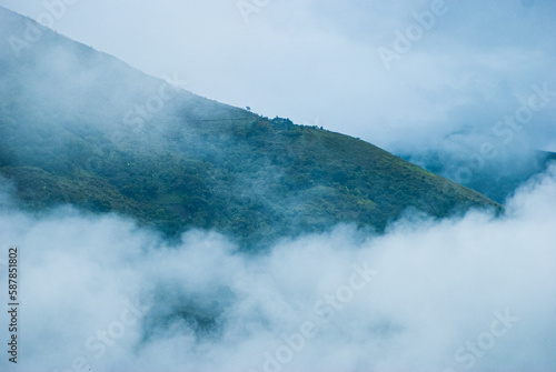 Bosque de nubes en monta  as en los alrededores Machupichu y Aguas calientes.