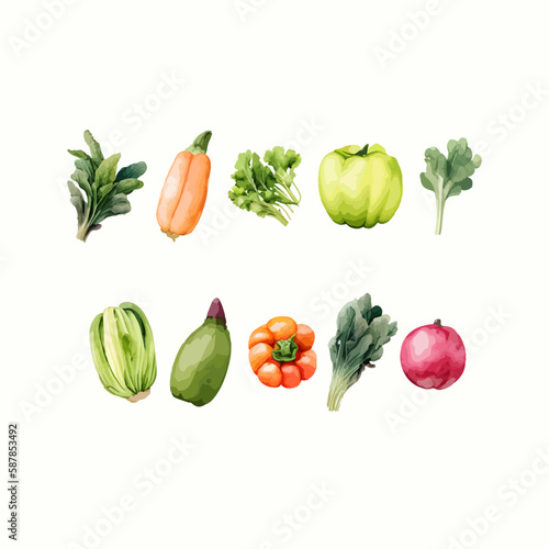 collection of vegetables vector in watercolor style 
