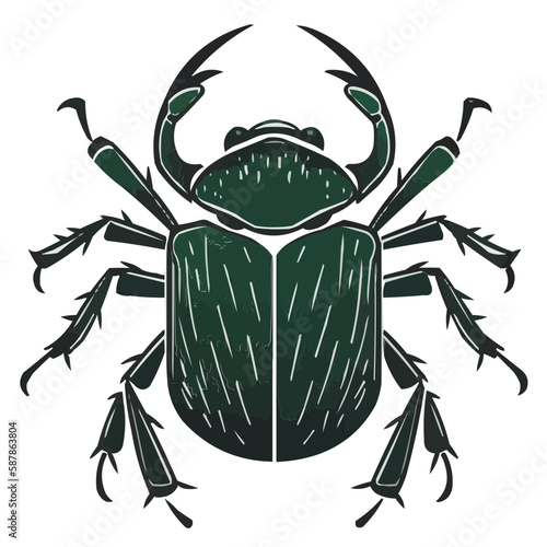 Beetle vector