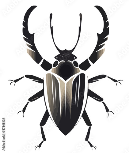Beetle vector