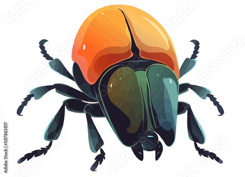 Beetle vector