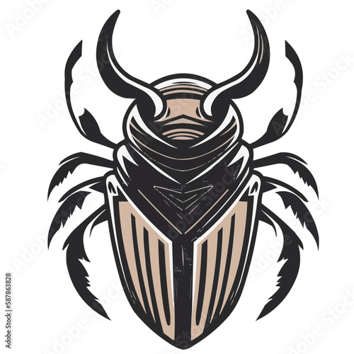 Beetle vector