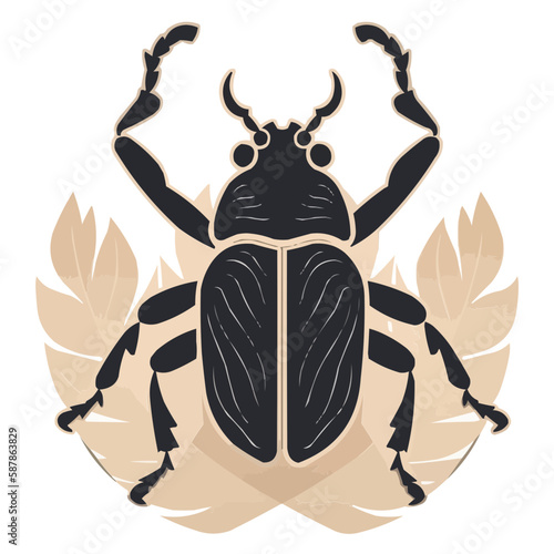 Beetle vector