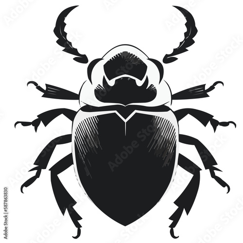 Beetle vector