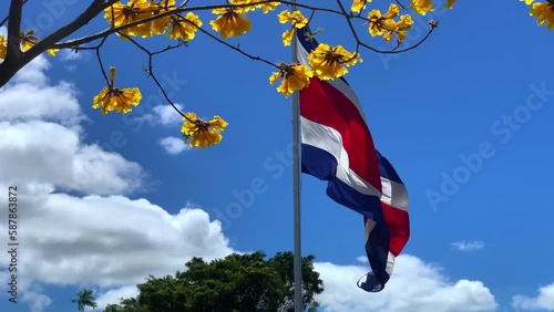 Costa Rica's flag and flowers. Costa Rican flag waving on a flagpole surrounded by yellow flowers. photo