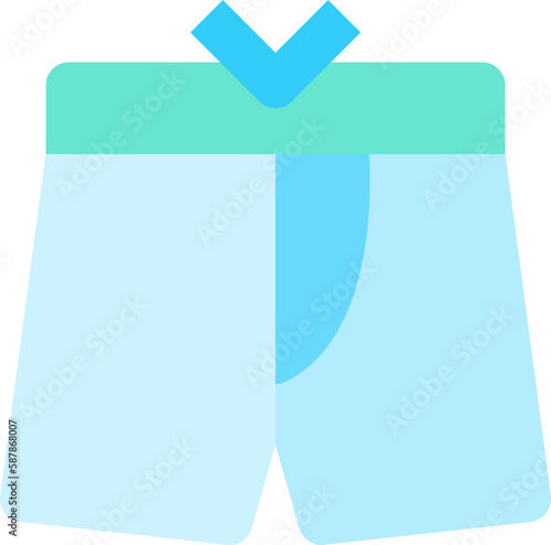 swim shorts flat icon