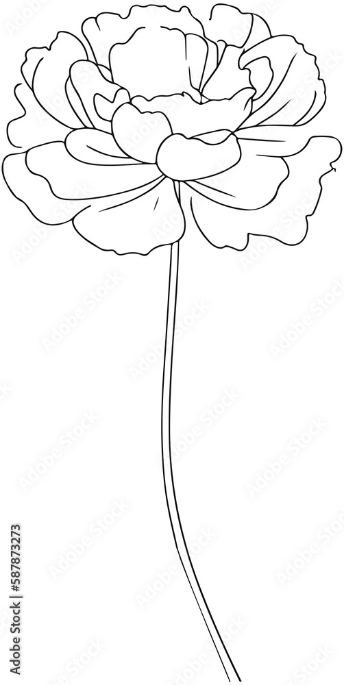 Carnation outline icon