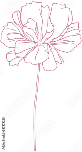 Fototapeta Naklejka Na Ścianę i Meble -  Carnation Flower Line lcon