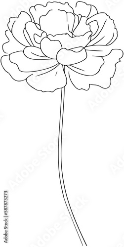 Carnation outline icon