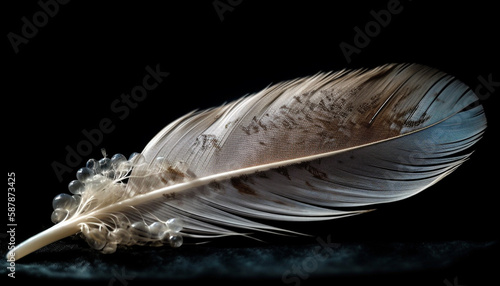 Smooth swan feather soaring in mid air beauty generated by AI
