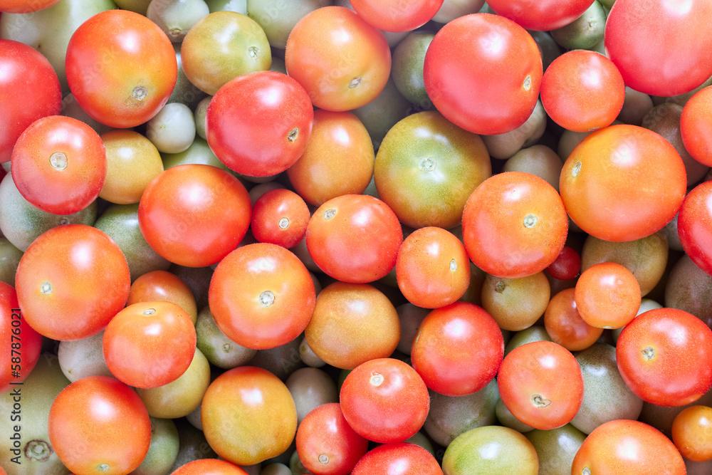 Pink and green cherry tomatoes lie in bowl. Pink and green cherry tomatoes lie in bowl.