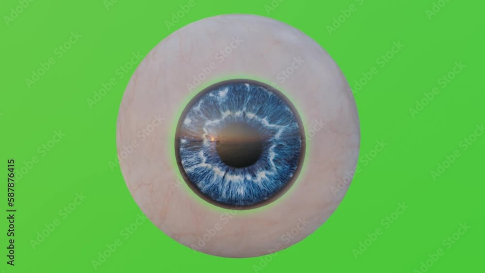 Captivating 3D Human Eye Rotating Video with Green Screen Background ...