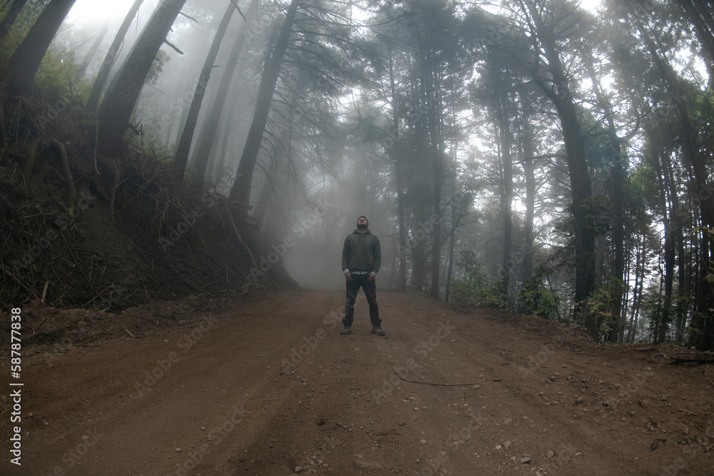 man standing on a path in the woods surrounded by mist