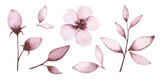 Set isolated on white background, watercolor, texture elements of wild rose flowers, buds and leaves in brown, tea color. Drawn by hand on paper. For holiday, design and decoration.