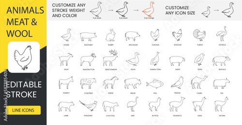 Types of meat and animals that give wool, set of line icons in vector, goose and pig, porkt and rabbit, wild boar and chicken, rooster and turkey, goat and ram, mutton and duck. Editable stroke.