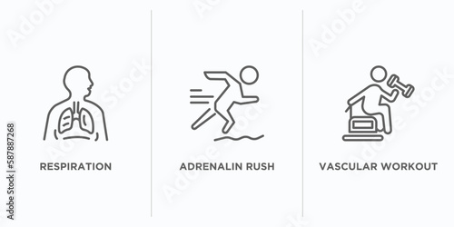 sauna outline icons set. thin line icons such as respiration, adrenalin rush, vascular workout vector. linear icon sheet can be used web and mobile