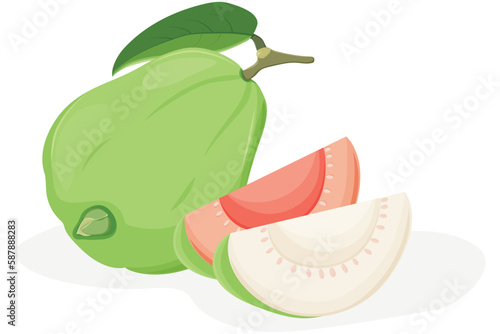 Guava Fruit with sliced piece