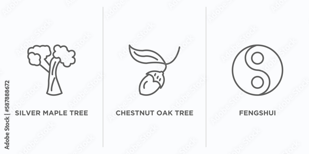 nature outline icons set. thin line icons such as silver maple tree, chestnut oak tree, fengshui vector. linear icon sheet can be used web and mobile