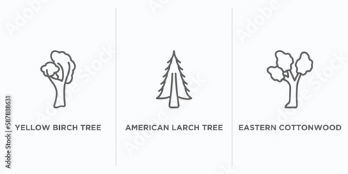 nature outline icons set. thin line icons such as yellow birch tree, american larch tree, eastern cottonwood tree vector. linear icon sheet can be used web and mobile