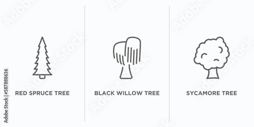 nature outline icons set. thin line icons such as red spruce tree, black willow tree, sycamore tree vector. linear icon sheet can be used web and mobile