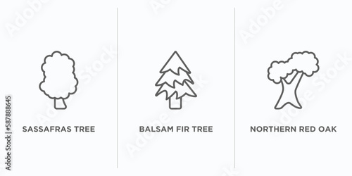 nature outline icons set. thin line icons such as sassafras tree, balsam fir tree, northern red oak tree vector. linear icon sheet can be used web and mobile photo