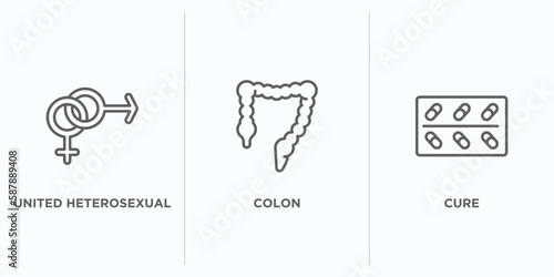 medical outline icons set. thin line icons such as united heterosexual, colon, cure vector. linear icon sheet can be used web and mobile