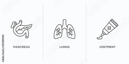 medical outline icons set. thin line icons such as pancreas, lungs, ointment vector. linear icon sheet can be used web and mobile