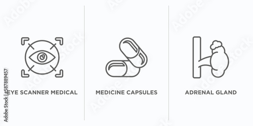 medical outline icons set. thin line icons such as eye scanner medical, medicine capsules, adrenal gland vector. linear icon sheet can be used web and mobile