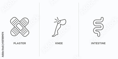 medical outline icons set. thin line icons such as plaster, knee, intestine vector. linear icon sheet can be used web and mobile