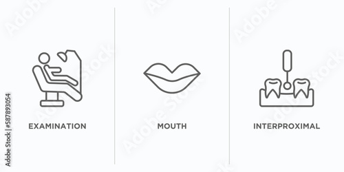 dentist outline icons set. thin line icons such as examination, mouth, interproximal vector. linear icon sheet can be used web and mobile