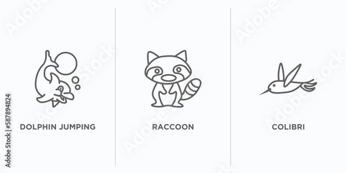 animals outline icons set. thin line icons such as dolphin jumping, raccoon, colibri vector. linear icon sheet can be used web and mobile