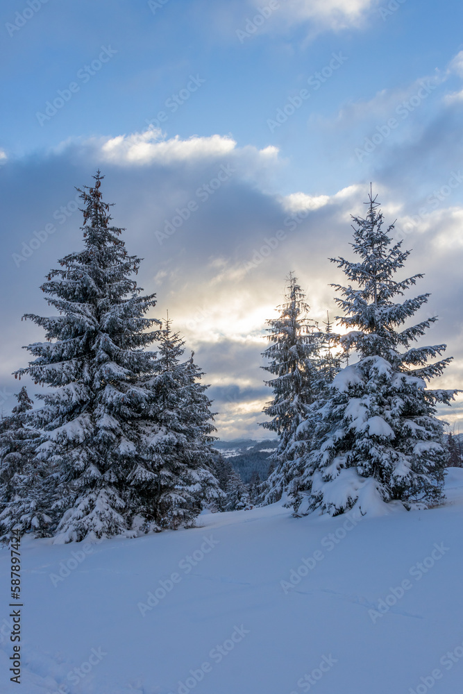 Lawn and forests. Snowy background. Nature scenery. Location place Zlatar, Serbia, Europe. Lawn and forests. Snowy background. Nature scenery. Location place Zlatar, Serbia, Europe.