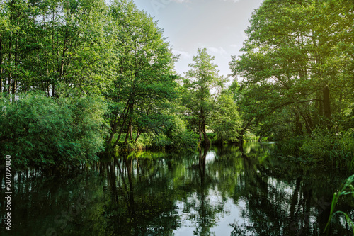 Spring rural landscape, river and green meadows
