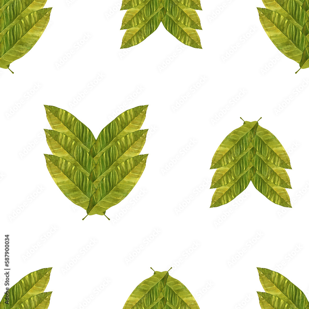Tropical leaves. Seamless pattern of green banana leaves. Watercolor illustration on isolated white background. For polygraphy, wall-paper, ceramics. Tropical leaves. Seamless pattern of green banana leaves. Watercolor illustration on isolated white background. For polygraphy, wall-paper, ceramics.