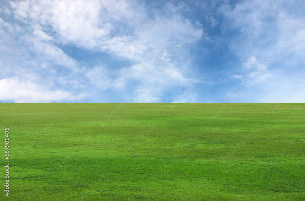 green grass and blue sky, Green field ,clouds background on the sunny day. green grass and blue sky, Green field ,clouds background on the sunny day.