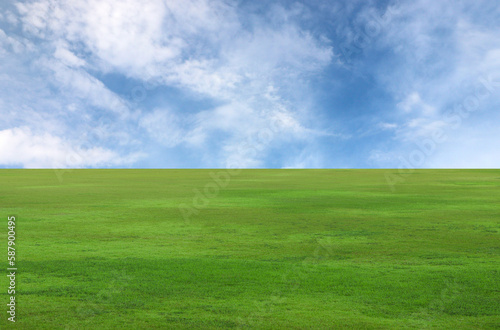 Fototapeta Naklejka Na Ścianę i Meble -  green grass and blue sky, Green field ,clouds background on the sunny day.