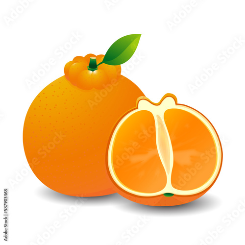 vector cartoon orange with leaves