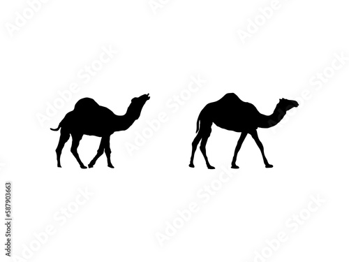 Camel icon silhouette vector illustration Pedigreed camels. Silhouettes of running camels on a white background.Camel icon graphic design vector illustration . Animal Logo Silhouette.