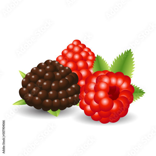 wild berry 