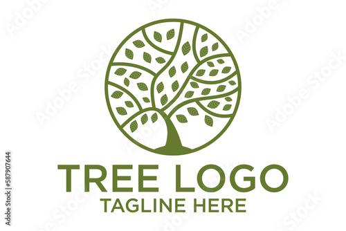 creative leaf and olive oil logo design icon