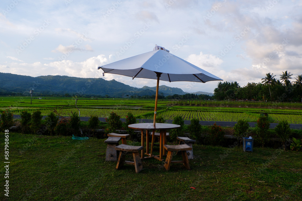 Seats with umbrellas in a green garden surrounded by vast rice fields.