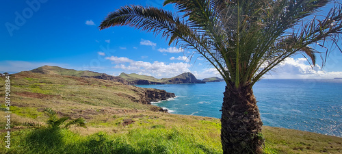 Palme bei Ponta de Sao Lourenco, Madeira, Portugal