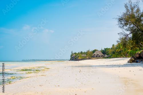 Immerse yourself in the natural beauty of Zanzibar Island's tropical beach, with its white sand, swaying palm trees, and crystal-clear turquoise waters against a blue sky with fluffy clouds on a sunny