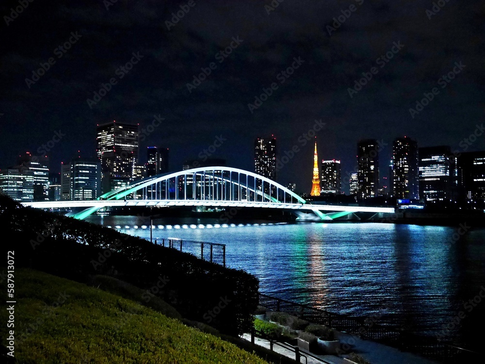ライトアップされた築地大橋と東京タワーの夜景（隅田川テラスより）