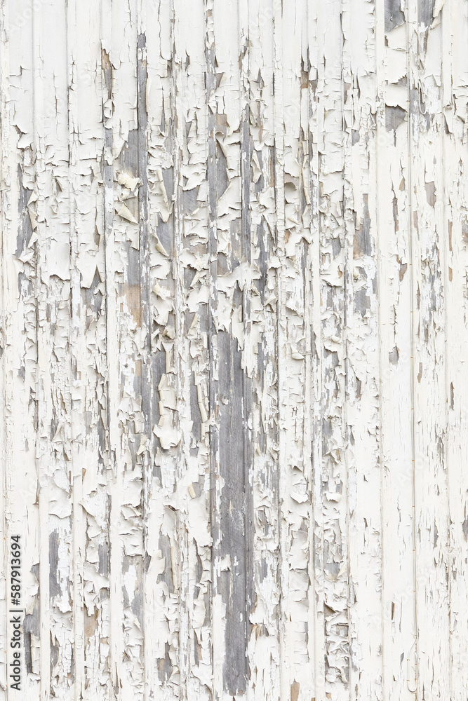 Obraz premium Cracked white paint on house wall exposing weathered boards