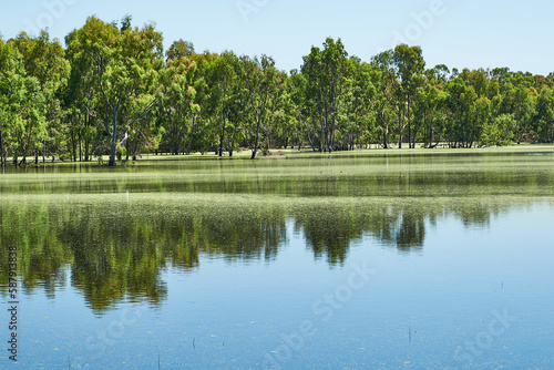 Wildlife Wetlands Sanctuary is located in the open grassy woodlands and wetlands of the volcanic Western Plains in between Melbourne and Geelong, in Lara.