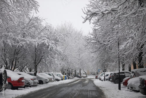 Many snow-covered cars parked on both sides of the street