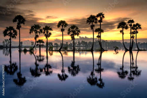 Beautiful landscape of nature with dramatic cloudscape, row of palm trees in silhouette reflect on the surface water of the river at sunrise