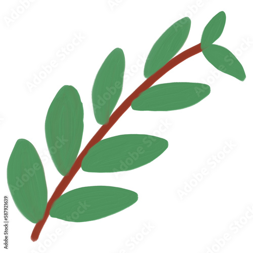 Leaf illustration 