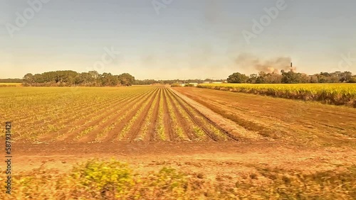 Louisiana Farmland.  The view from a train as it crosses farmland in Louisiana.  The train is passing various fields growing sugar cane.